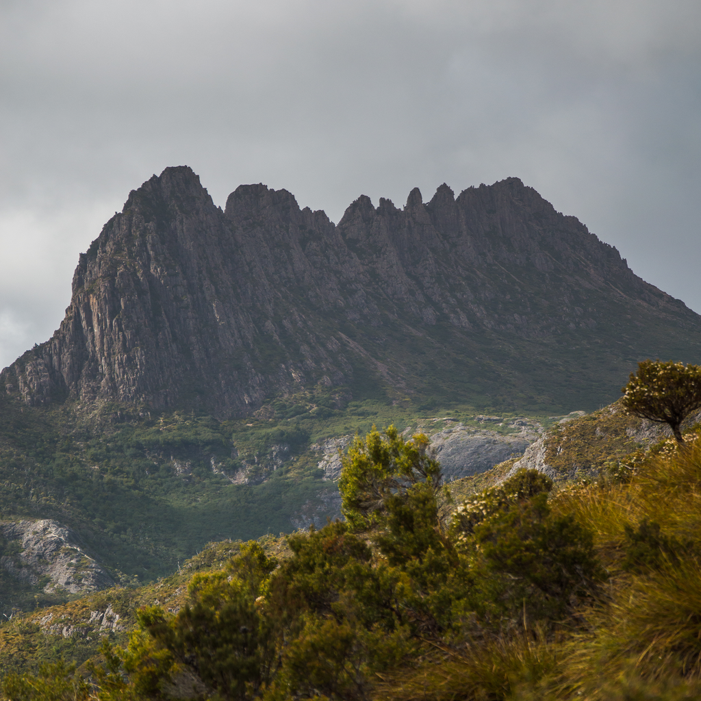 Cradle Mountain Cover Photo